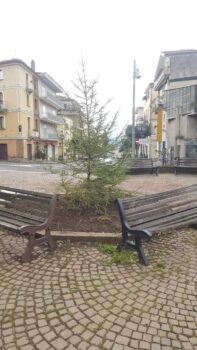 Nuovo Cdu Lamezia: "A Piazza Fiorentino fra qualche anno ci ritroveremo il nostro 'spelacchio'"