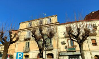 Stop capitozzature selvagge. Si rispetti regolamento comunale. La denuncia di Lamezia Bene Comune 