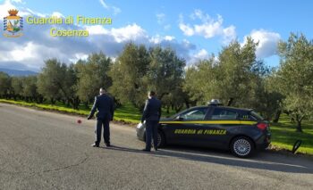 Truffe, indagato imprenditore agricolo nel cosentino e 32 falsi braccianti