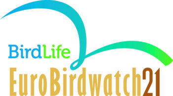 Festa europea del birdwatching, anche la Calabria interessata da questo importante evento grazie alla Lipu