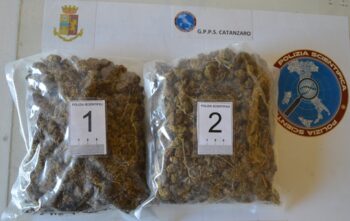 Catanzaro, denunciate due persone per detenzione ai fini di spaccio di sostanza stupefacente in concorso