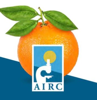 Tumori, in Calabria 5 postazioni Airc per le "Arance della salute"