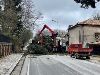 Alberi caduti sulla carreggiata, chiusa provvisoriamente la nsa 572 a Serra San Bruno