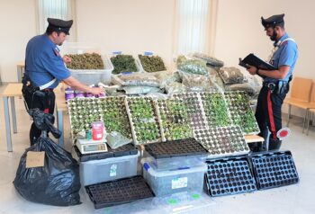 Arrestato 58enne lametino per detenzione ai fini di spaccio di sostanze stupefacenti