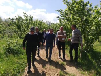 La Nocciola Tonda di Calabria, oggetto di ricerca nel progetto “Valtifru 4.0”