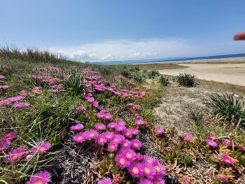 Biodiversità, il Liceo “Campanella” tra memoria e territorio