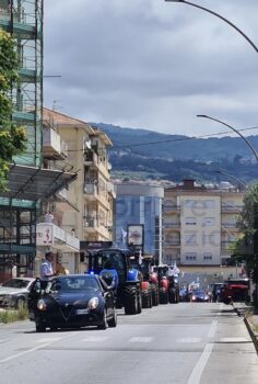 Pietro Molinaro (Lega): "La protesta degli Agricoltori a Lamezia sollecita la Regione: servono interventi urgenti e concreti" 