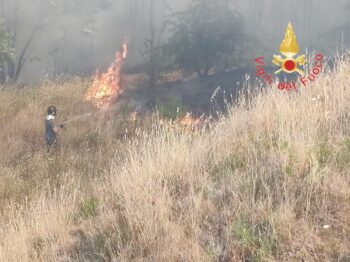 Incendi, situazione critica in Calabria, numerosi interventi nelle varie province