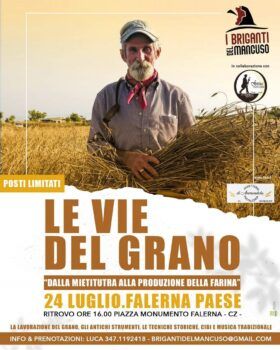 Il 24 luglio a Falerna la seconda edizione de “Le vie del grano. Dalla mietitura alla produzione della farina”