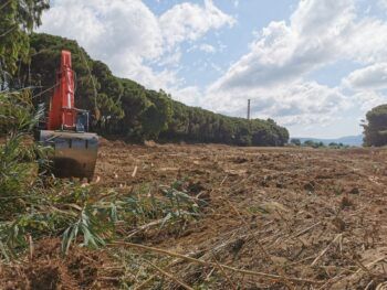 Interventi in alveo ed in prossimità delle sponde, corsi d'acqua ricompresi nel territorio comunale