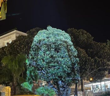 Proiezioni luminose su Palazzo Piacentini e Piazza Indipendenza: grande successo per "I Bronzi all'imbrunire"