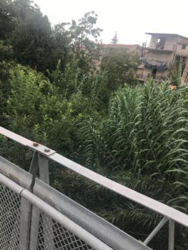 Il quartiere Timpone in stato di abbandono, la denuncia del Pd
