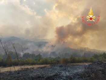 Vasto incendio di vegetazione nel crotonese