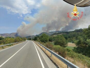 Vasto incendio di vegetazione nel crotonese