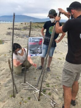 Fratino, la Lipu ha concluso in Calabria il monitoraggio 2022: 32 volontari in azione per mettere in sicurezza i nidi