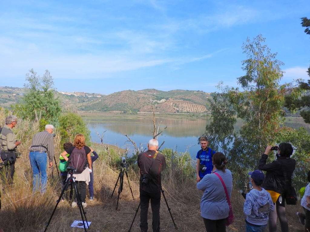 1 e 2 ottobre Eurobirdwatch per ammirare migrazione uccelli, anche in Calabria