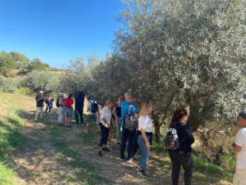 Straordinario successo a Badolato per il weekend rurale “Camminate e giornate esperienziali tra gli Olivi”