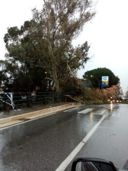 Forte temporale a Lamezia, danni e disagi - FOTO