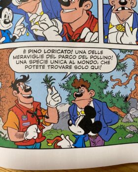 Il pino loricato, una delle meraviglie del Parco del Pollino, nel numero 3494 del fumetto Topolino