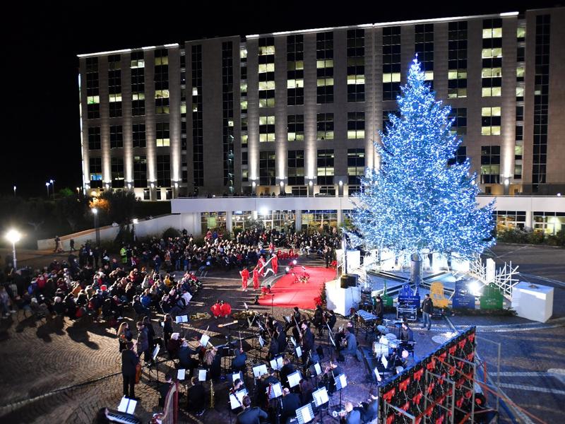In tanti all'accensione dell'albero di Natale dei calabresi, la cerimonia illumina la Cittadella