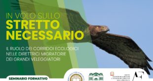 Unirc Agraria Seminario 12 Dicembre