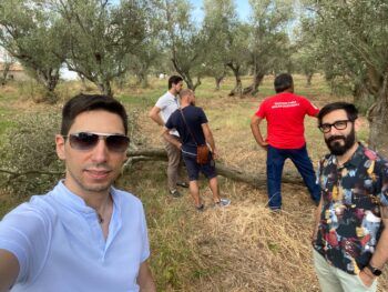 Quattro giovani calabresi creano "Aliva", complementi d’arredo con legno di potatura di ulivi, per preservare questi “mitologici” alberi