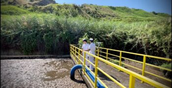Vibo Valentia, la Procura apre un’inchiesta sullo stato del mare, controlli in tutta la provincia