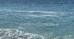 IMG_0098