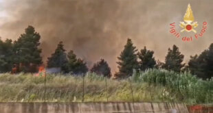 Incendi Calabria