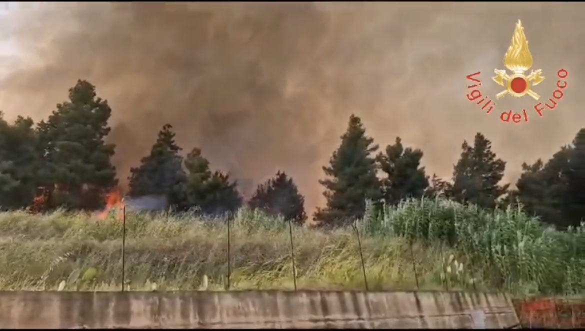 Catanzaro, vasto incendio nel quartiere marinaro, evacuate alcune abitazioni Catanzaro, vasto incendio nel quartiere marinaro, evacuate alcune abitazioni