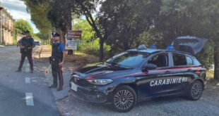 carolei con logo
