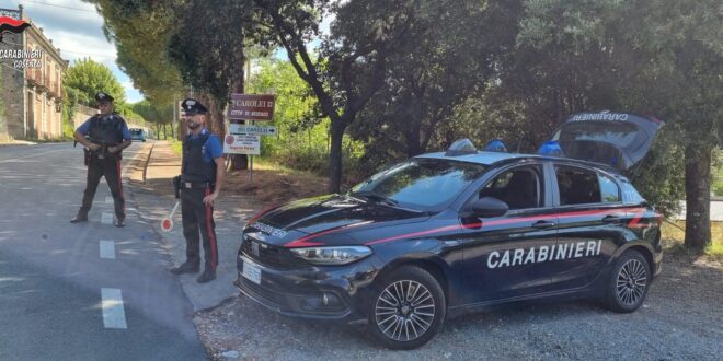 carolei con logo