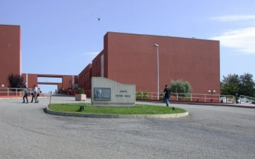 Alla scoperta delle lauree magistrali Unical: appuntamento il 13 marzo al Centro congressi