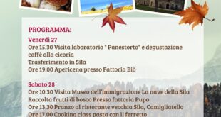 Bellisario Experience