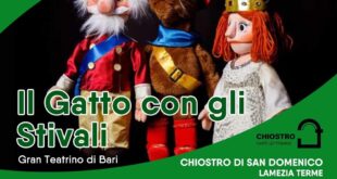 Gatto Con Gli Stivali Pomeridiana