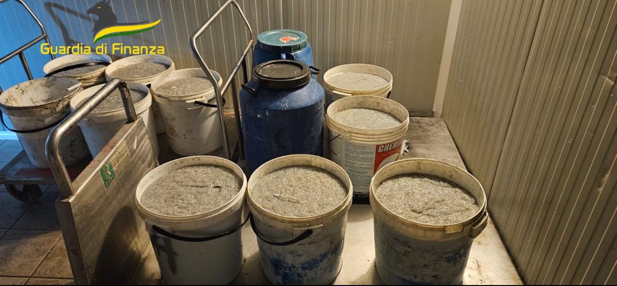 Lotta alla pesca di frodo, sequestrati oltre 600 kg di novellame di sarda nell’alto Ionio cosentino