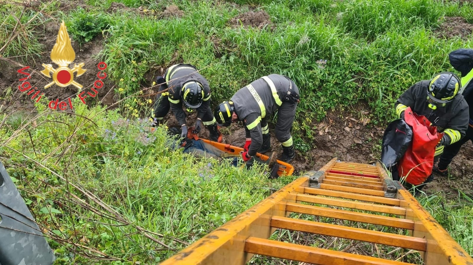 Giovane in bici finisce in scarpata a Pianopoli, soccorso e trasferito in ospedale Giovane in bici finisce in scarpata a Pianopoli, soccorso e trasferito in ospedale