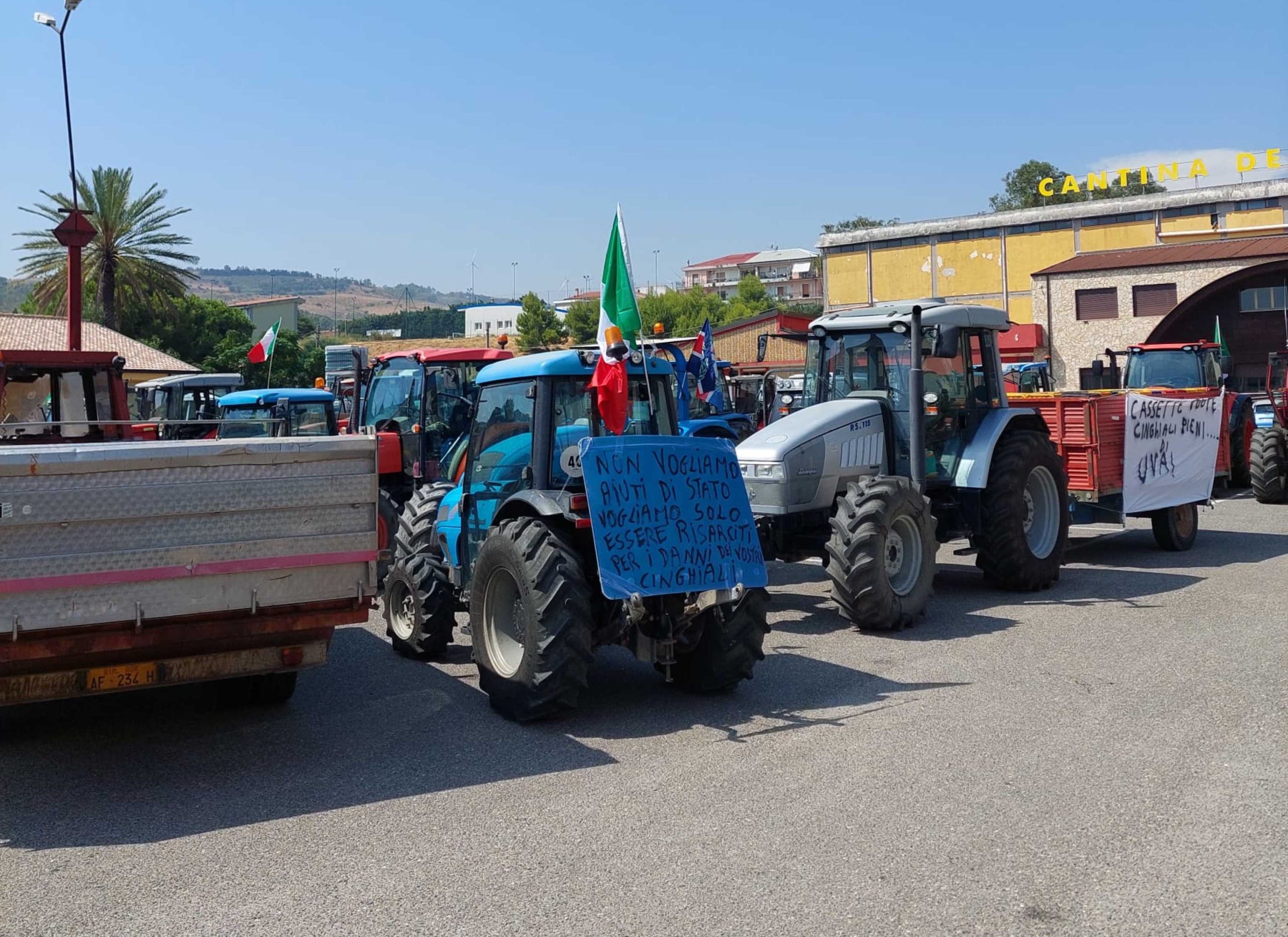 Protesta cinghiali l'amministrazione di Lamezia Terme esprime vicinanza agli agricoltori Protesta cinghiali l'amministrazione di Lamezia Terme esprime vicinanza agli agricoltori