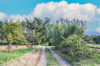 L’Associazione 'Le Città Visibili' fa tappa a Cetraro