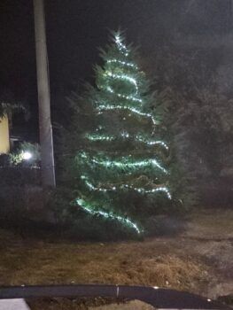 Proseguono gli appuntamenti di 'Dicembre a Gabella', sabato 21 la Sagra delle Caldarroste