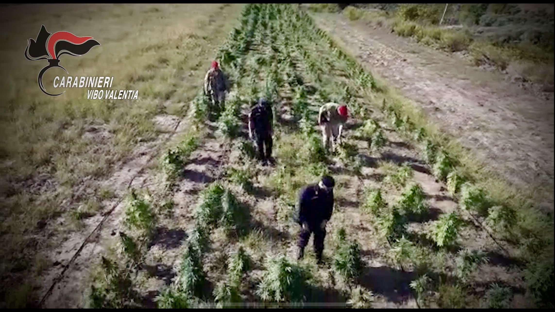 Operazione antidroga, arresti tra Vibo e Reggio