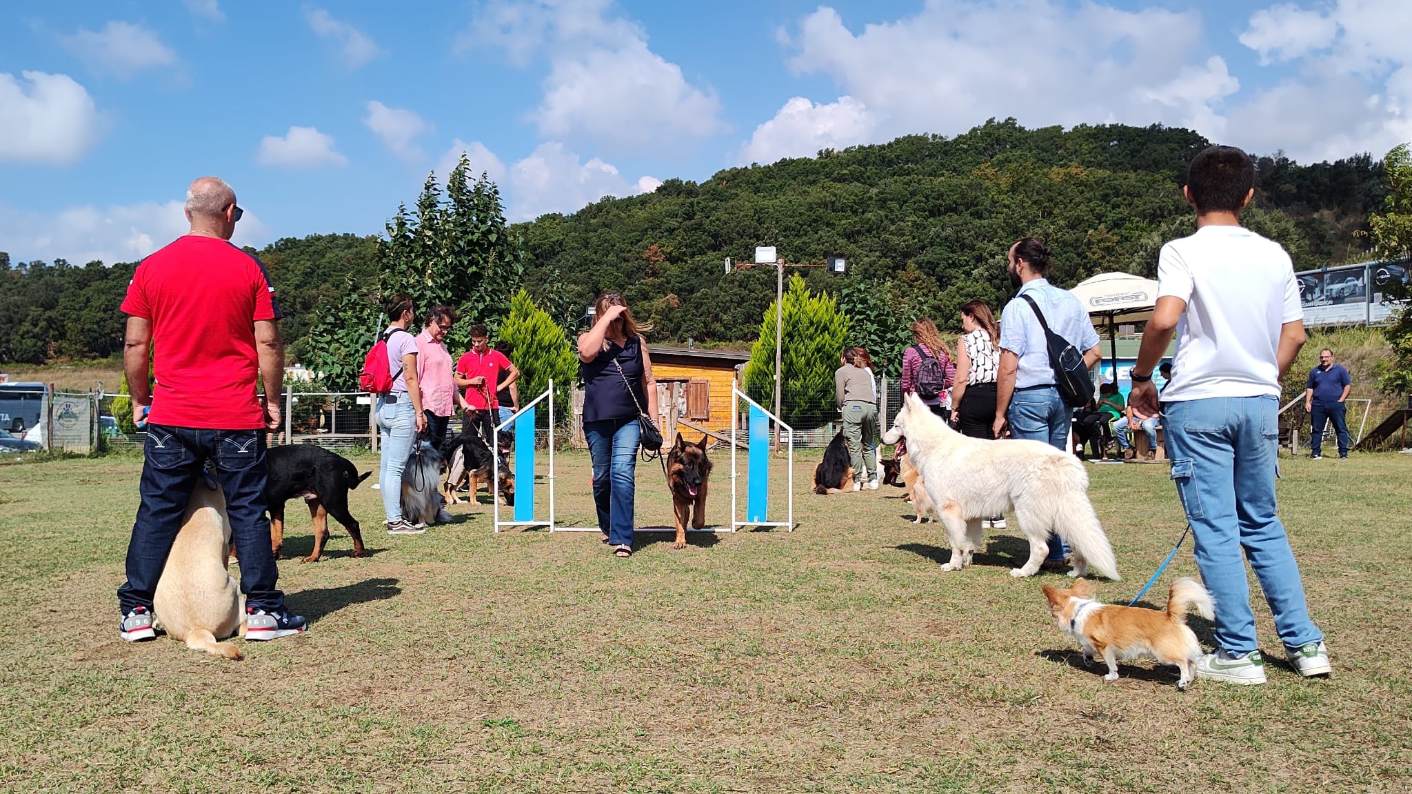 “Un cane dentro per un futuro fuori”, progetto realizzato dal Centro Cinofilo Due Mari di Lamezia che ha coinvolto i giovani detenuti dell'Istituto Penale per Minorenni di Catanzaro