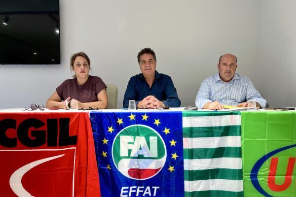 Lamezia, forestazione, approvata piattaforma unitaria per il rinnovo del contratto integrativo regionale 2027/2030
