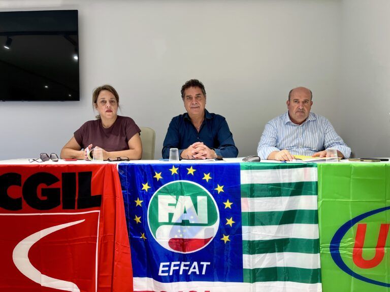 Lamezia, forestazione, approvata piattaforma unitaria per il rinnovo del contratto integrativo regionale 2027/2030