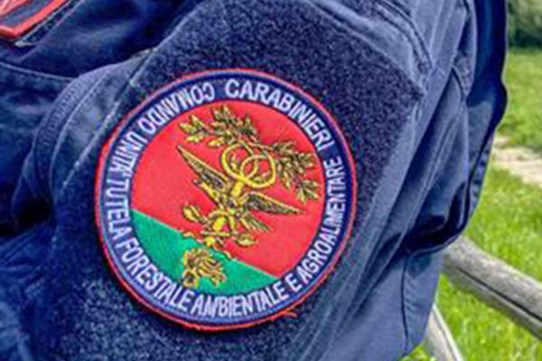 Guardia Piemontese, scoperta discarica abusiva: cinque denunciati, rifiuti incendiati per cancellare le tracce