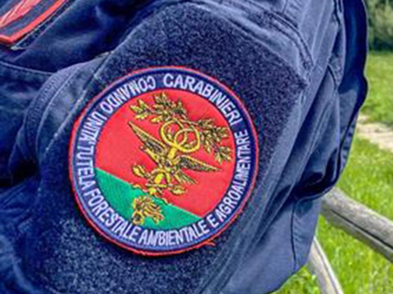 Guardia Piemontese, scoperta discarica abusiva: cinque denunciati, rifiuti incendiati per cancellare le tracce