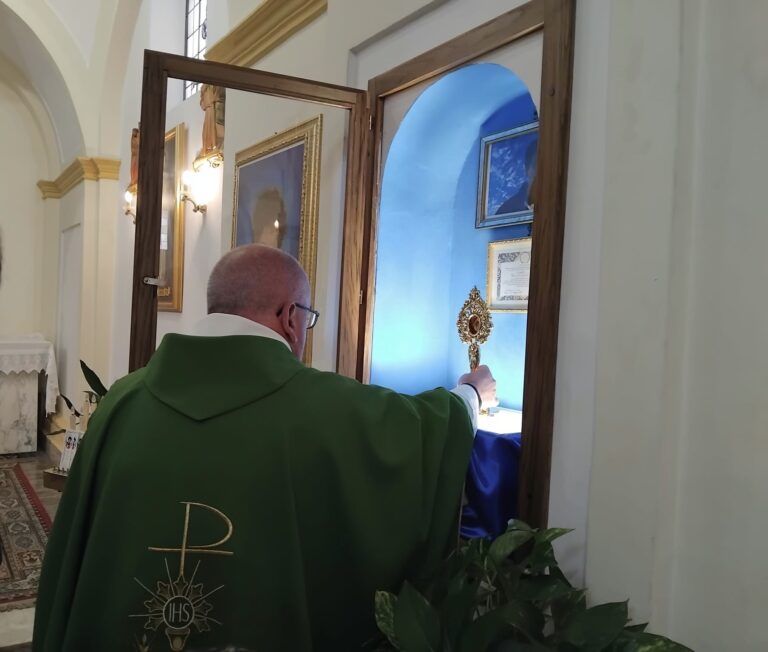 Istituzione di una nicchia permanente a Decollatura con la reliquia di San Carlo Acutis