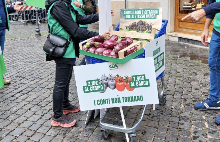 Caro-spesa e importazioni, Cia Calabria sfata il mito del cibo estero a basso costo. Podella: "Speculazione e prezzi sotto costo mettono a rischio il futuro dell'agricoltura italiana"