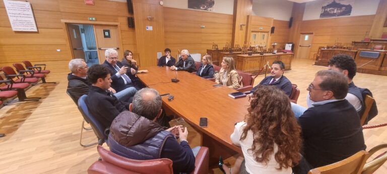 Lamezia, Comune e produttori al lavoro su una visione condivisa: vino e olio al centro della promozione del territorio
